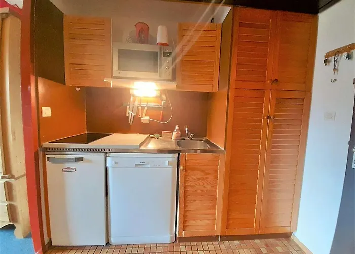 Appartement 6 Pers. Avec Tv, Lave-vaisselle Et Casier à - - Fr-1-457-320 Aragnouet